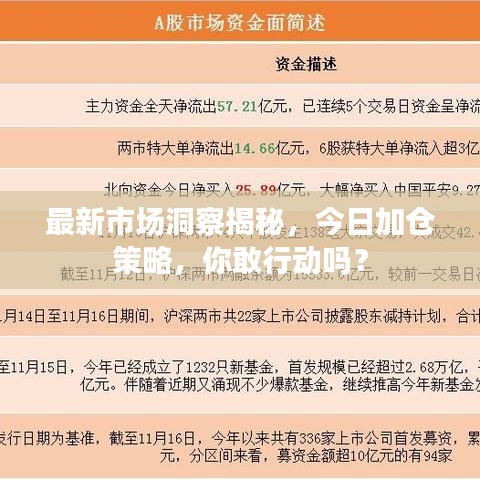 最新市場(chǎng)洞察揭秘，今日加倉(cāng)策略，你敢行動(dòng)嗎？