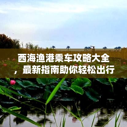 西海漁港乘車攻略大全，最新指南助你輕松出行！