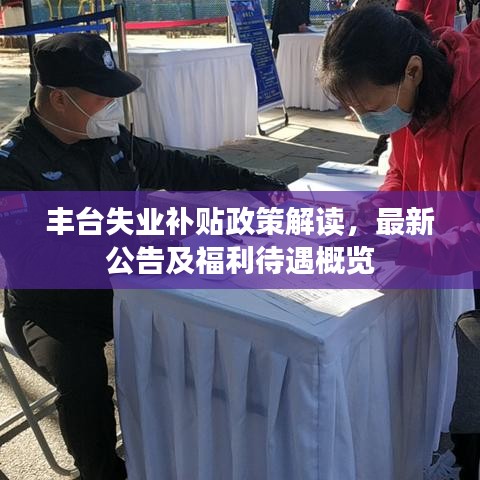 豐臺失業(yè)補貼政策解讀，最新公告及福利待遇概覽