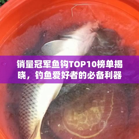 銷量冠軍魚鉤TOP10榜單揭曉，釣魚愛好者的必備利器