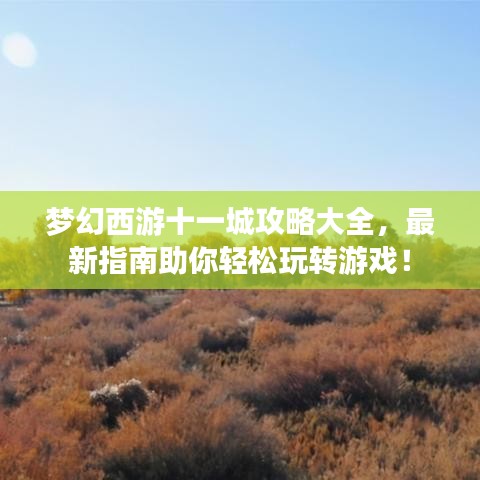 夢幻西游十一城攻略大全，最新指南助你輕松玩轉(zhuǎn)游戲！