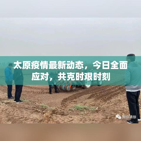 太原疫情最新動態(tài)，今日全面應(yīng)對，共克時艱時刻