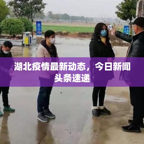 屈高就下 第3頁(yè)