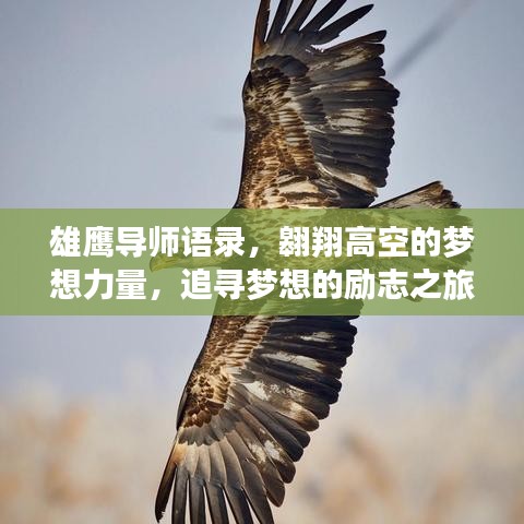 雄鷹導師語錄，翱翔高空的夢想力量，追尋夢想的勵志之旅