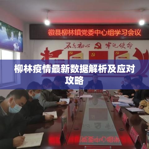 柳林疫情最新數(shù)據(jù)解析及應(yīng)對(duì)攻略