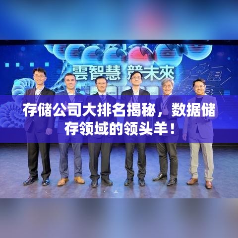 存儲公司大排名揭秘，數(shù)據(jù)儲存領域的領頭羊！