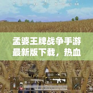 孟婆王牌戰(zhàn)爭手游最新版下載，熱血戰(zhàn)場，全新體驗等你來戰(zhàn)！
