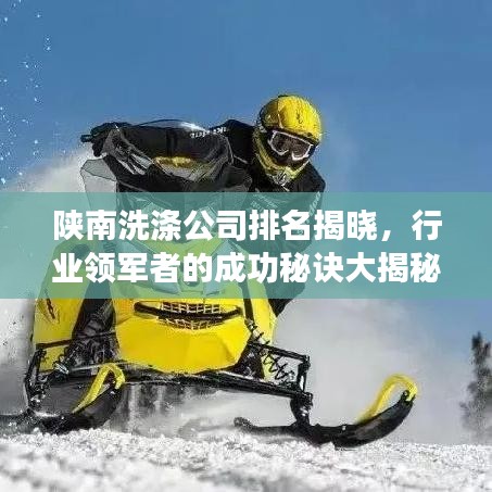 陜南洗滌公司排名揭曉，行業(yè)領(lǐng)軍者的成功秘訣大揭秘！
