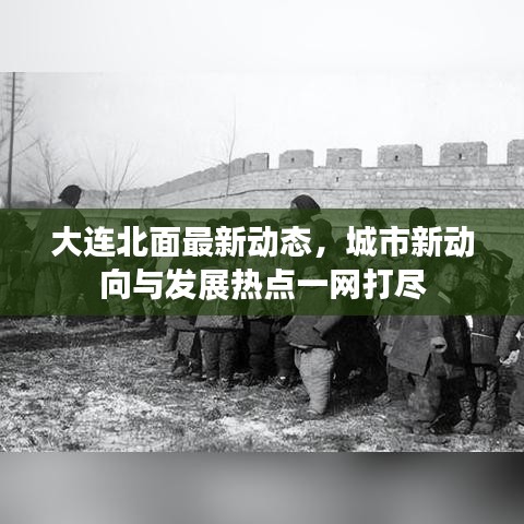 大連北面最新動態(tài)，城市新動向與發(fā)展熱點一網(wǎng)打盡