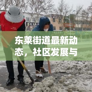 東萊街道最新動態(tài)，社區(qū)發(fā)展與社會進(jìn)步的見證