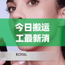 今日搬運工最新消息電話，輕松掌握行業(yè)動態(tài)，一鍵獲取重要信息