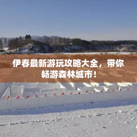 伊春最新游玩攻略大全，帶你暢游森林城市！