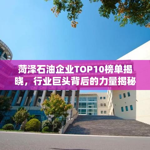 菏澤石油企業(yè)TOP10榜單揭曉，行業(yè)巨頭背后的力量揭秘