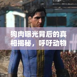 狗肉曝光背后的真相揭秘，呼吁動物保護意識的行動視頻匯總