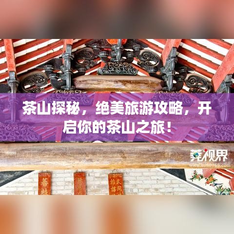 茶山探秘，絕美旅游攻略，開啟你的茶山之旅！