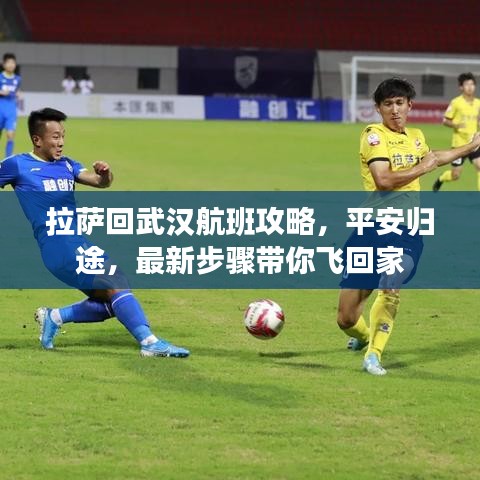 拉薩回武漢航班攻略，平安歸途，最新步驟帶你飛回家