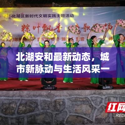 北湖安和最新動態(tài)，城市新脈動與生活風(fēng)采一網(wǎng)打盡
