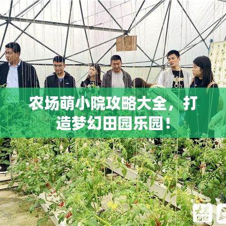 農(nóng)場萌小院攻略大全，打造夢幻田園樂園！