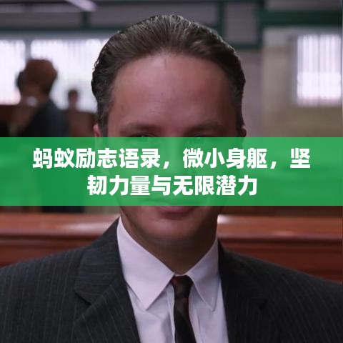 螞蟻勵志語錄，微小身軀，堅韌力量與無限潛力
