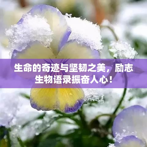 生命的奇跡與堅韌之美，勵志生物語錄振奮人心！