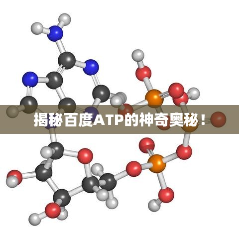 揭秘百度ATP的神奇奧秘！