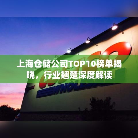 上海倉儲公司TOP10榜單揭曉，行業(yè)翹楚深度解讀