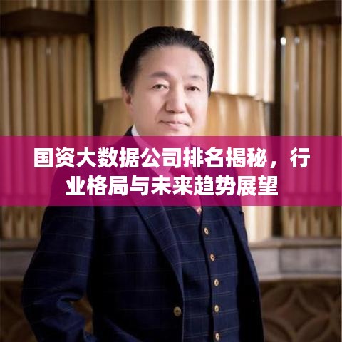 國資大數(shù)據(jù)公司排名揭秘，行業(yè)格局與未來趨勢展望