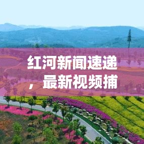 紅河新聞速遞，最新視頻捕捉紅河州的動態(tài)與生活點滴