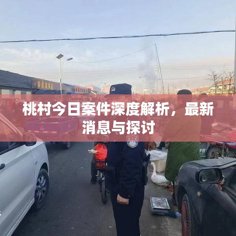 桃村今日案件深度解析，最新消息與探討