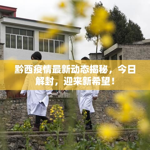 黔西疫情最新動態(tài)揭秘，今日解封，迎來新希望！