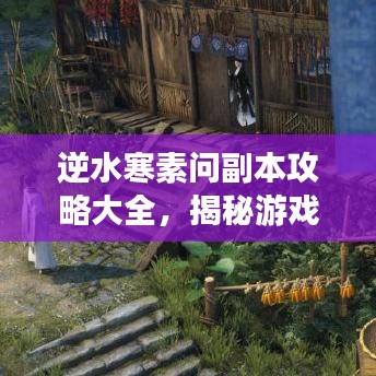 逆水寒素問(wèn)副本攻略大全，揭秘游戲世界的未知秘密！