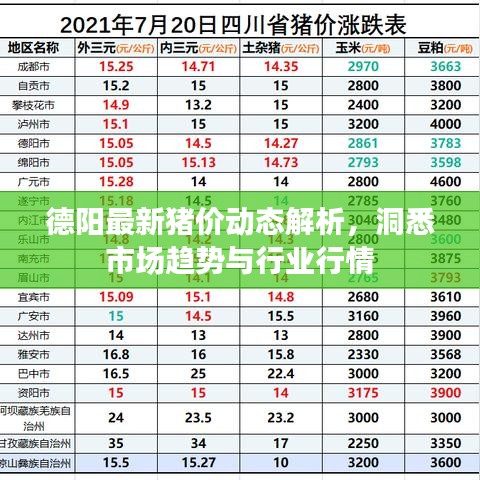 德陽(yáng)最新豬價(jià)動(dòng)態(tài)解析，洞悉市場(chǎng)趨勢(shì)與行業(yè)行情