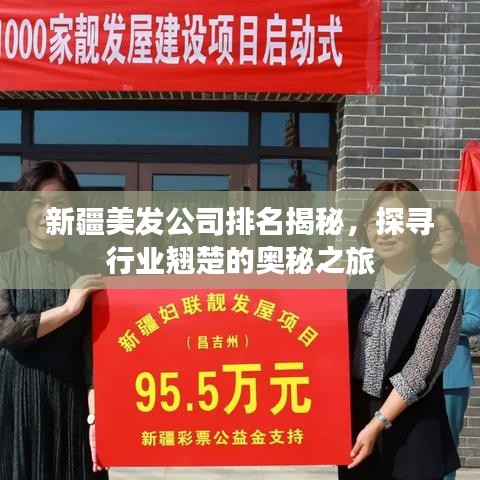 新疆美發(fā)公司排名揭秘，探尋行業(yè)翹楚的奧秘之旅