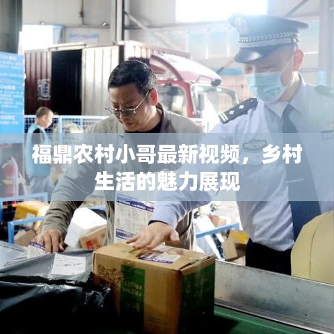 福鼎農(nóng)村小哥最新視頻，鄉(xiāng)村生活的魅力展現(xiàn)