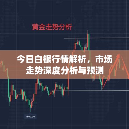 今日白銀行情解析，市場(chǎng)走勢(shì)深度分析與預(yù)測(cè)