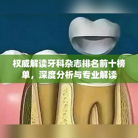 權(quán)威解讀牙科雜志排名前十榜單，深度分析與專業(yè)解讀
