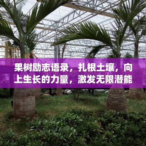 果樹勵志語錄，扎根土壤，向上生長的力量，激發(fā)無限潛能！