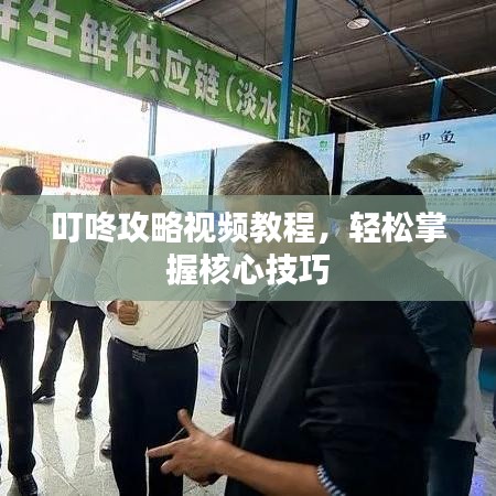 叮咚攻略視頻教程，輕松掌握核心技巧