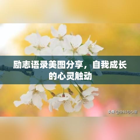 勵(lì)志語錄美圖分享，自我成長的心靈觸動(dòng)