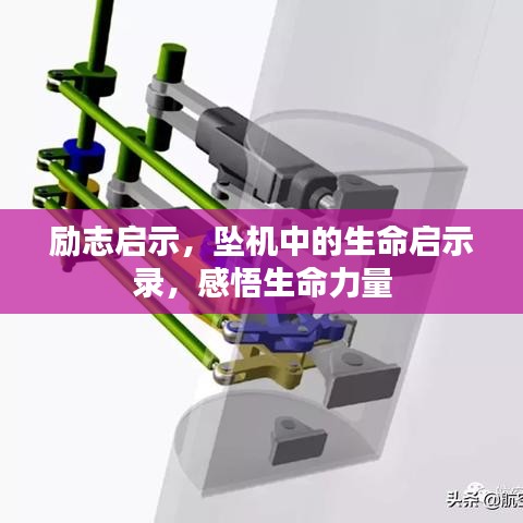 勵(lì)志啟示，墜機(jī)中的生命啟示錄，感悟生命力量