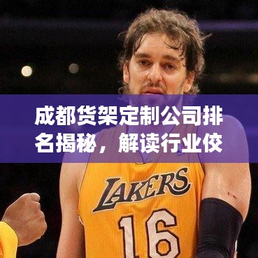 成都貨架定制公司排名揭秘，解讀行業(yè)佼佼者，滿足您的倉儲需求首選伙伴