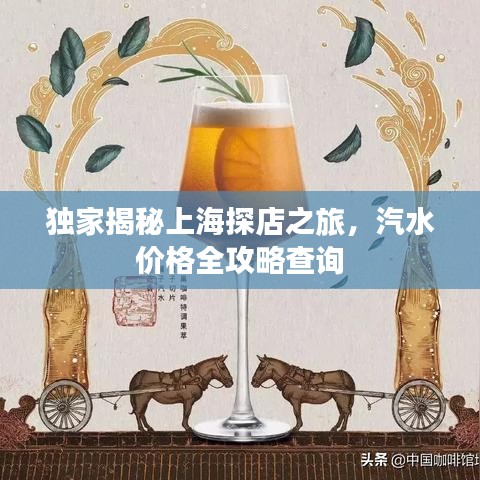 獨(dú)家揭秘上海探店之旅，汽水價(jià)格全攻略查詢