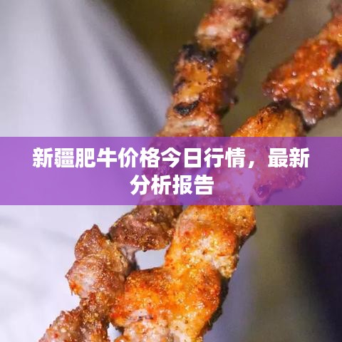 新疆肥牛價格今日行情，最新分析報告