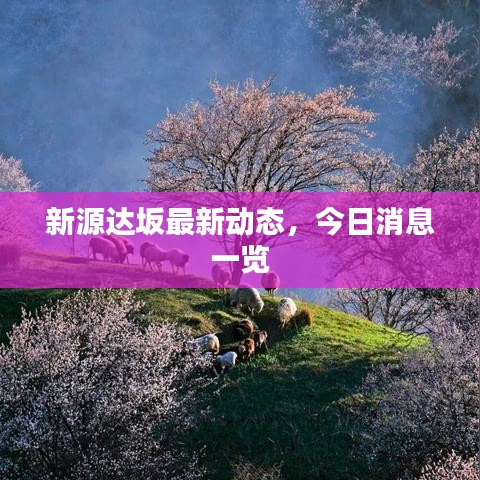 新源達(dá)坂最新動(dòng)態(tài)，今日消息一覽