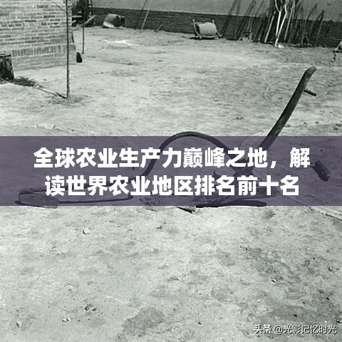 全球農(nóng)業(yè)生產(chǎn)力巔峰之地，解讀世界農(nóng)業(yè)地區(qū)排名前十名