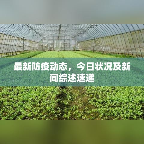 最新防疫動(dòng)態(tài)，今日狀況及新聞綜述速遞