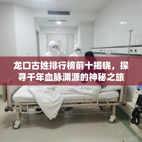 龍口古姓排行榜前十揭曉，探尋千年血脈淵源的神秘之旅