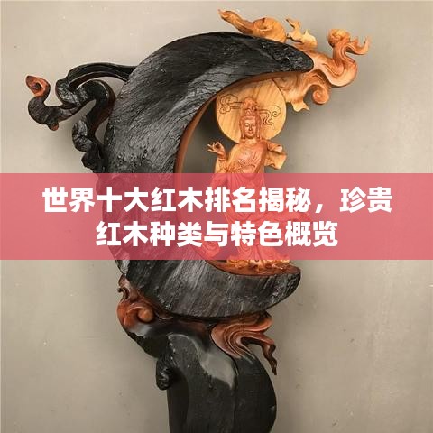世界十大紅木排名揭秘，珍貴紅木種類與特色概覽