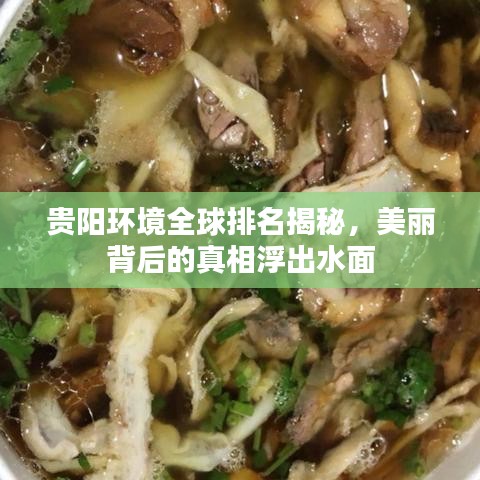 貴陽(yáng)環(huán)境全球排名揭秘，美麗背后的真相浮出水面