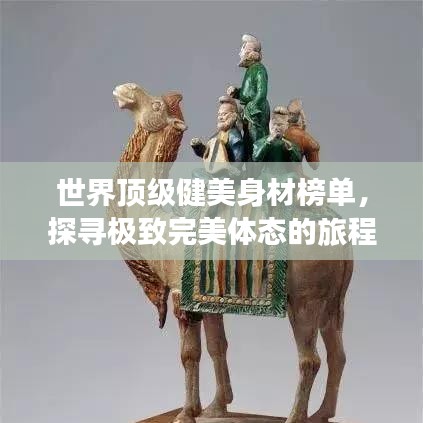 世界頂級(jí)健美身材榜單，探尋極致完美體態(tài)的旅程